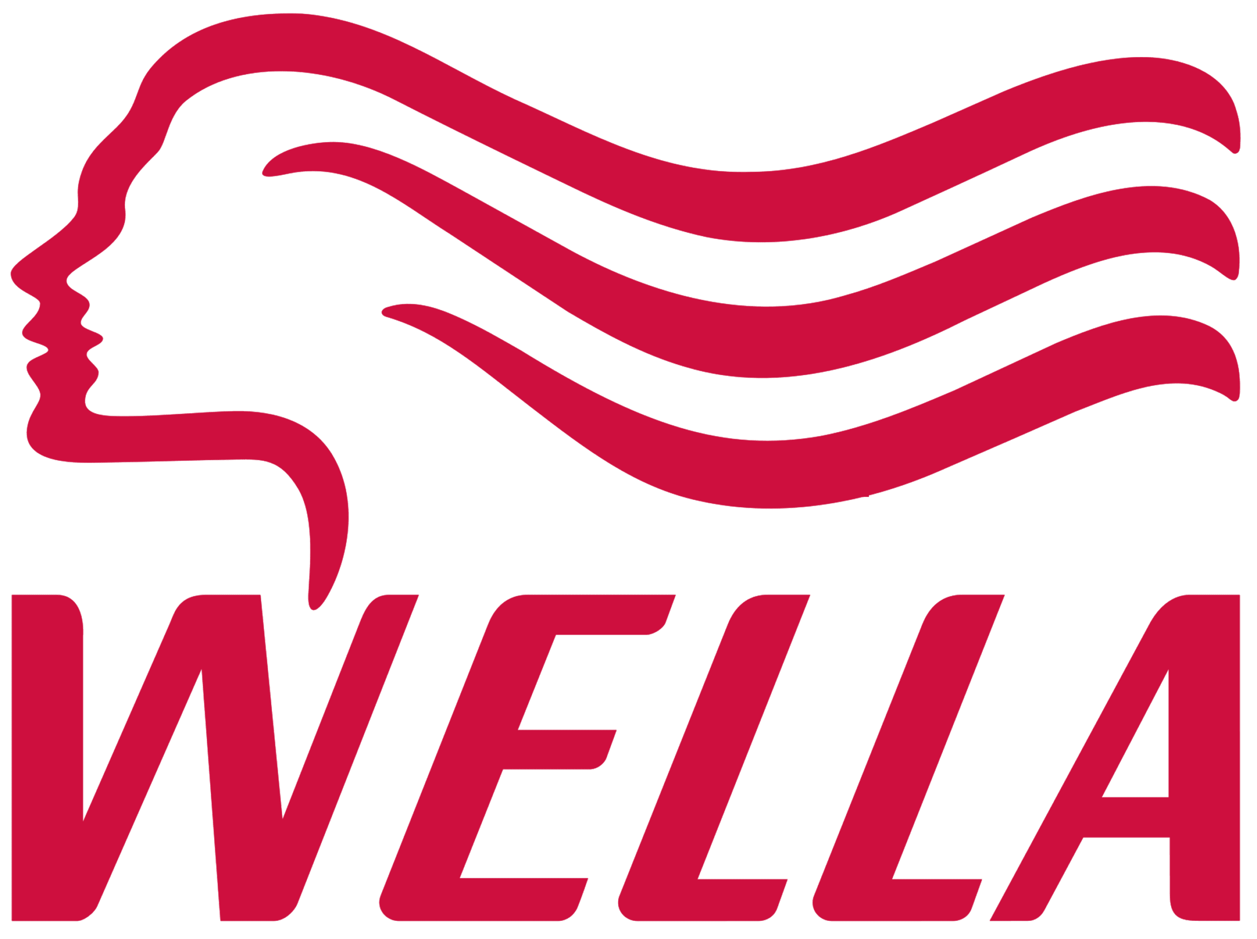 Client logo Wella